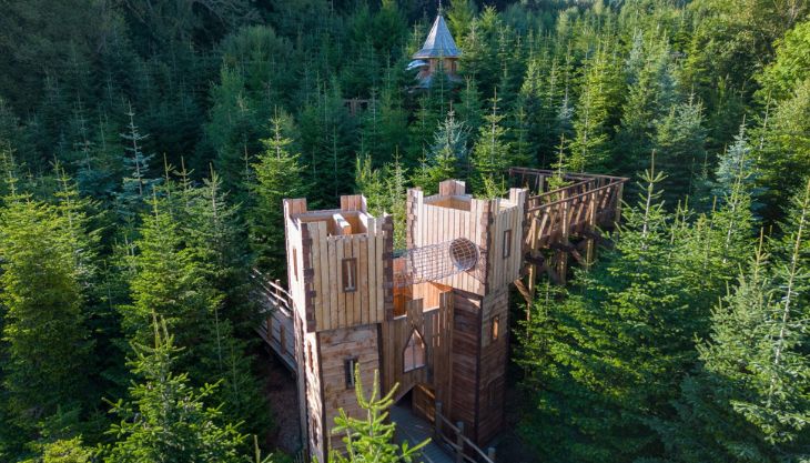 NEW Bear Hunt Trail in the Plotters Forest