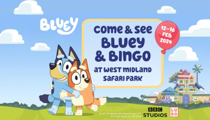 Bluey and Bingo at West Midland Safari Park