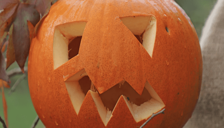 Halloween Half Term- Hatchlands Park