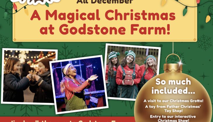 A Magical Christmas at Godstone Farm