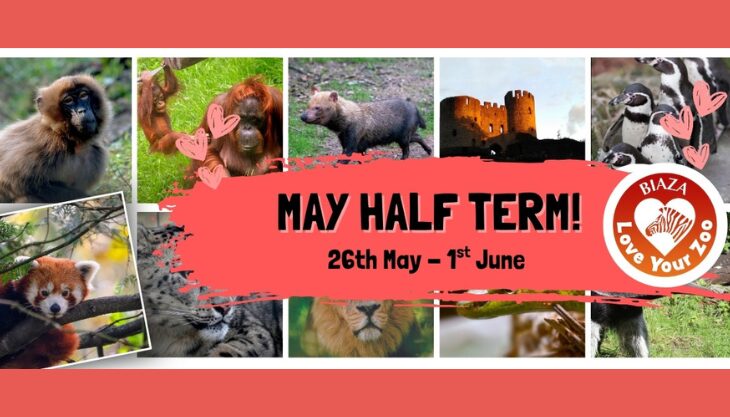 May half term at Dudley Zoo