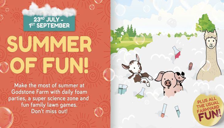 Summer of Fun – Godstone Farm