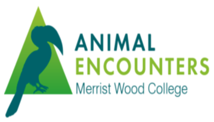 Animal Encounters at Merrist Wood!