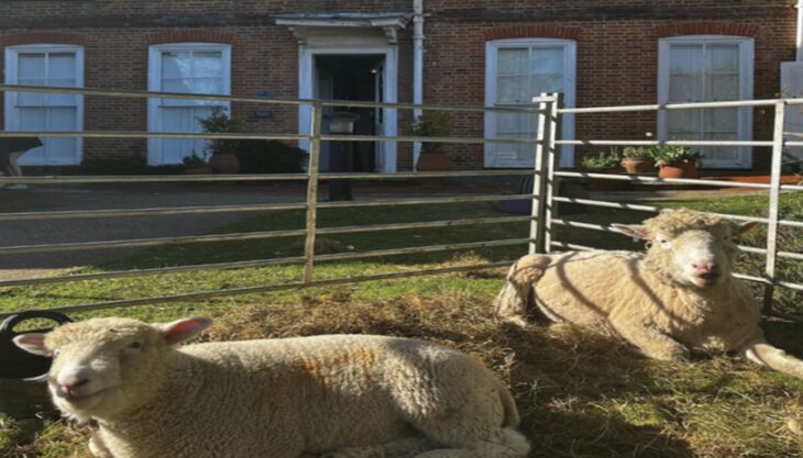 Easter at Farnham Maltings