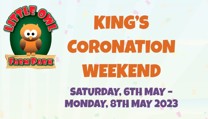 King’s Coronation at Little Owl Farm