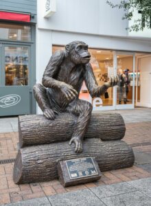 Kingston Chimp Trail 
