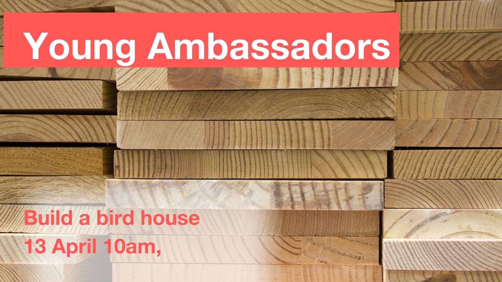 Young Ambassadors- Build a bird house
