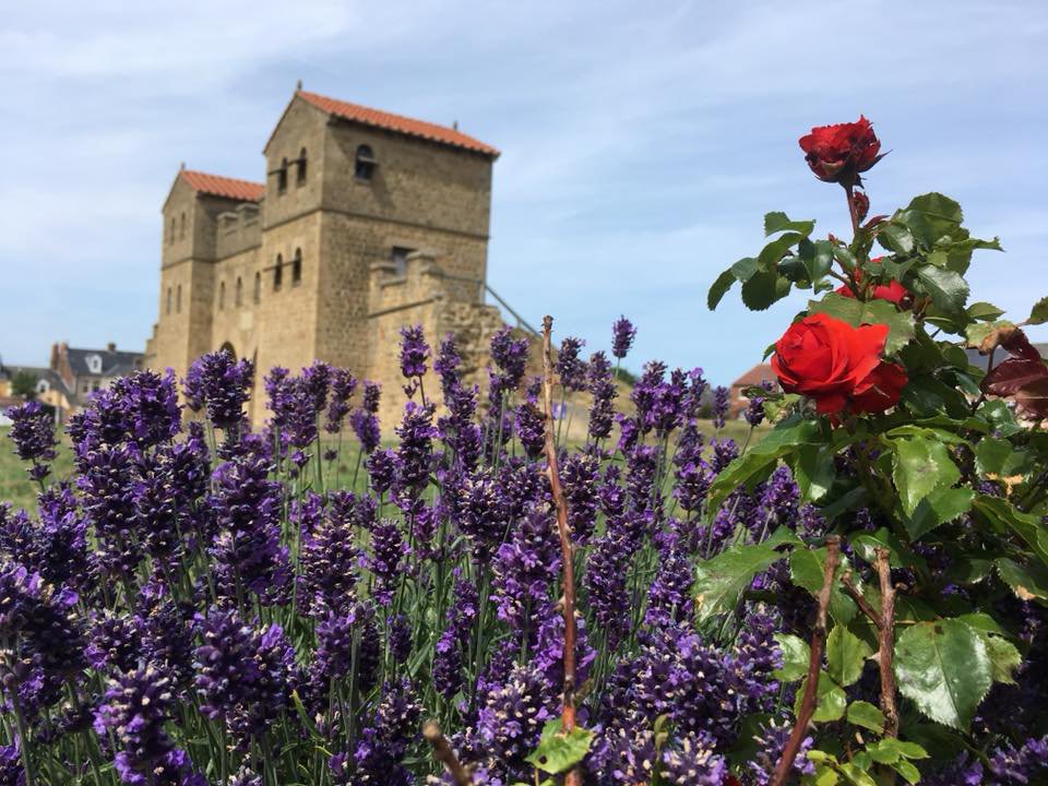 Free Guided Tour, Arbeia Roman Fort, South Shields