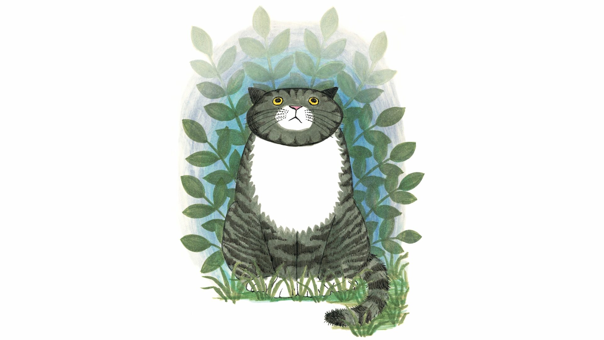 Mog’s Remarkable Adventures