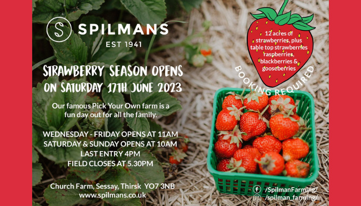 Spilmans PYO Strawberries