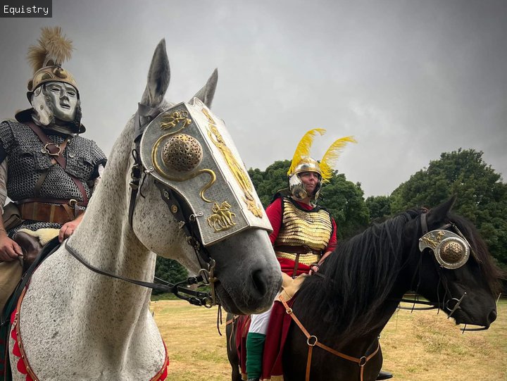 Call the Cavalry, Segedunum Roman Fort, Wallsend