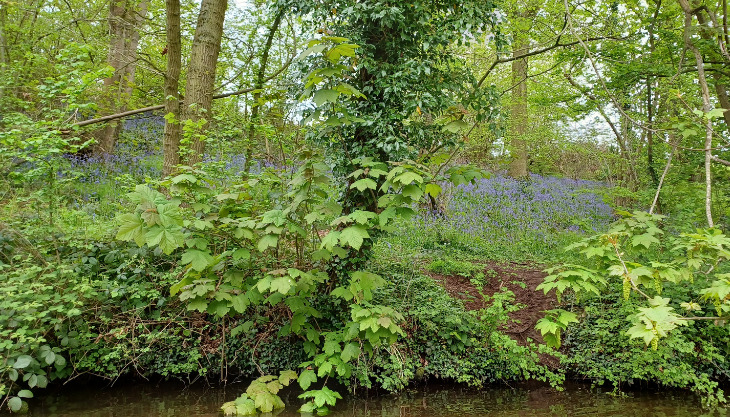 review of River Severn Canoes