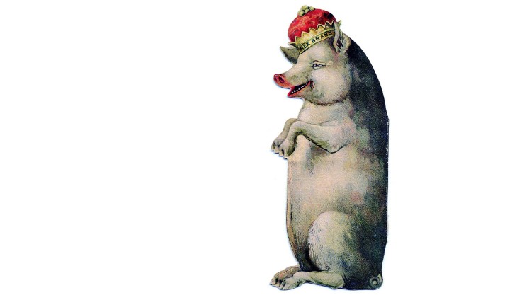 Children’s Opera – The Enchanted Pig at Playbox Theatre, Warwick