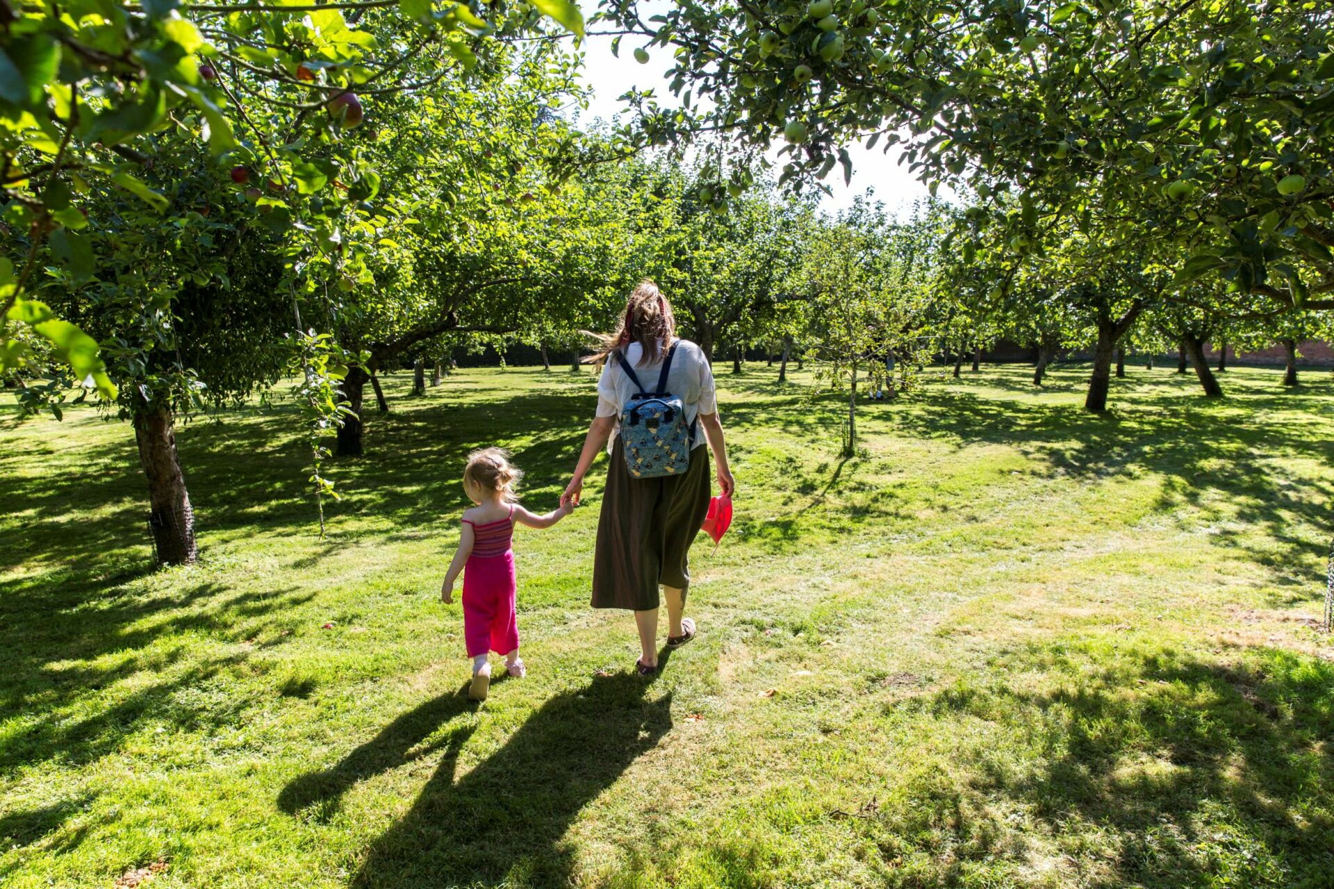 May half-term: Birds, Bees & Butterflies at Hanbury Hall