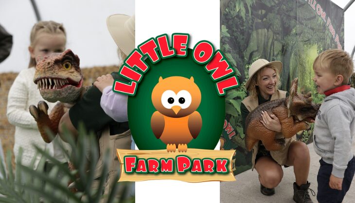 Half term at Little Owl Farm Park