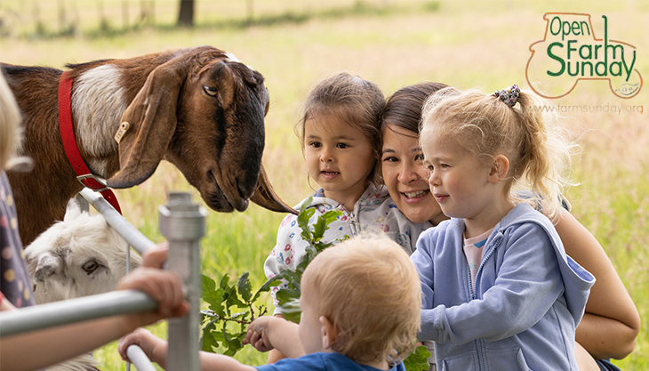 Celebrate farming with LEAF Open Farm Sunday 2023
