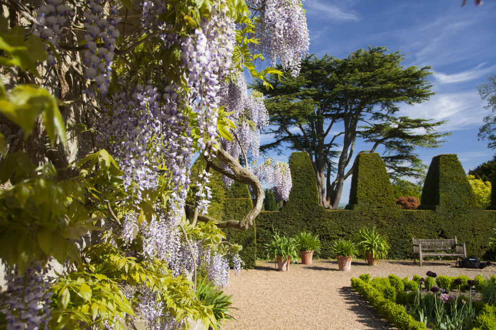 Summer Holidays at Nymans