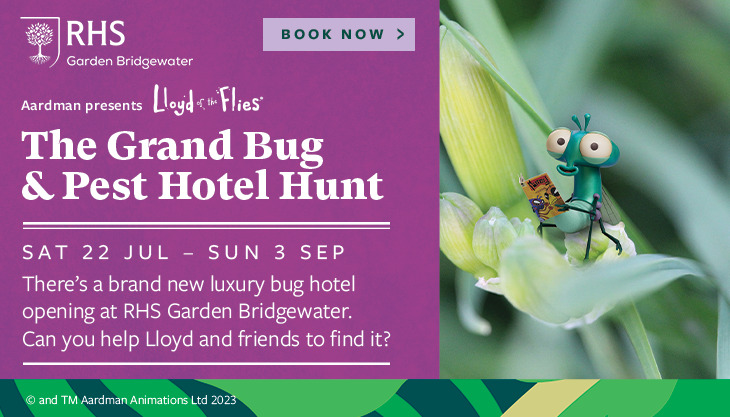 The Grand Bug & Pest Hotel Hunt