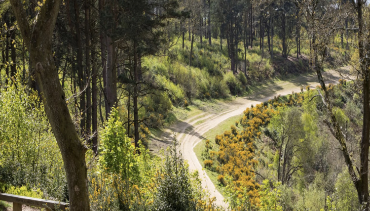 Summer of play at Hindhead Commons and The Devil’s Punchbowl