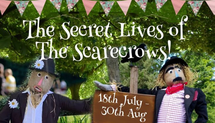 Summer at Bodenham Arboretum