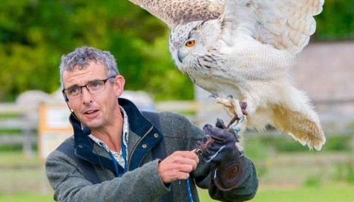 Exbury Gardens Falconry Day 🦉