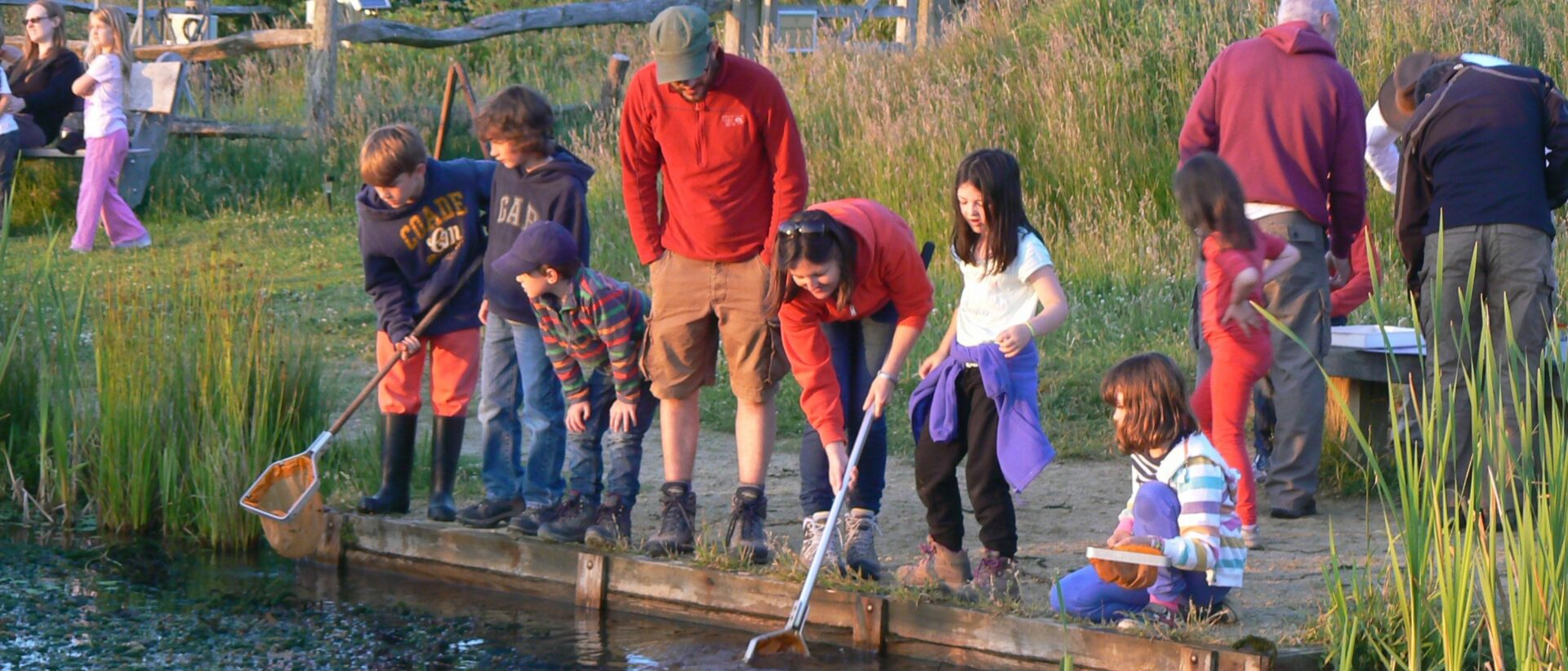 Wild Wednesday Family Event Day
