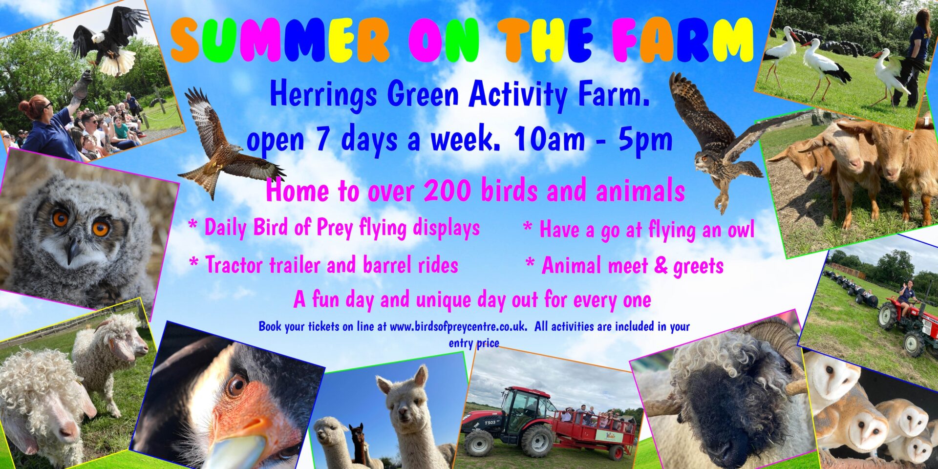 Summer on the Farm @ Herrings Green Farm