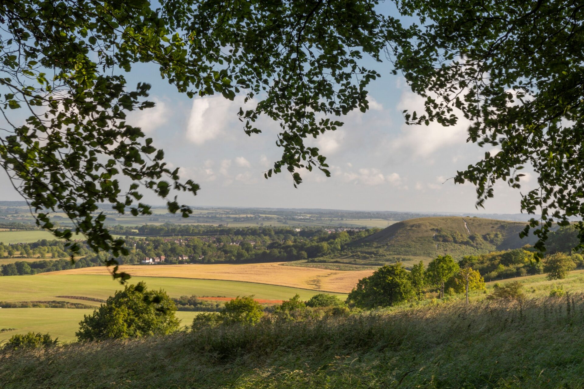 Summer @ Dunstable Downs