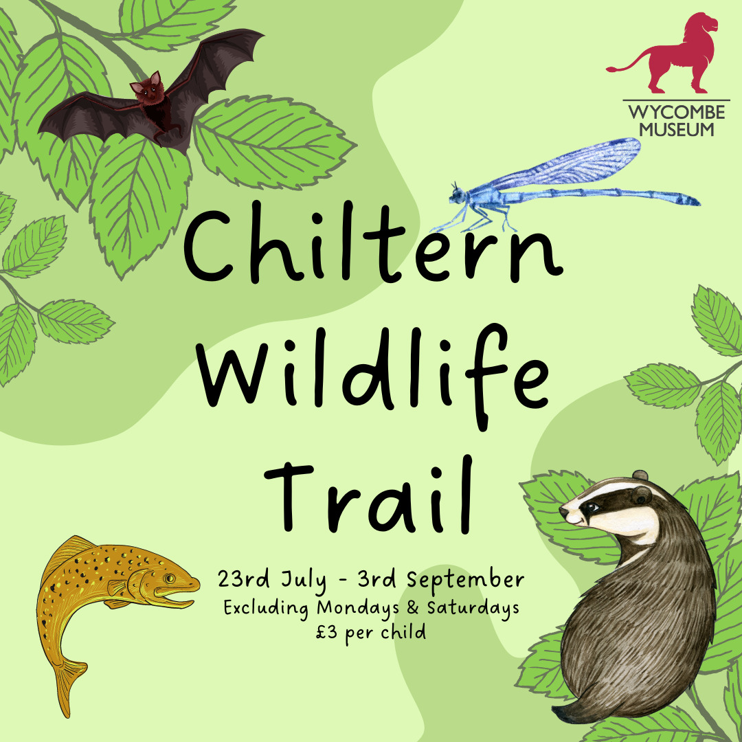 Chiltern Wildlife Trail Raring2go chiltern-wildlife-trail-raring2go
