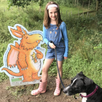 Zog Trail at Dalby Forest