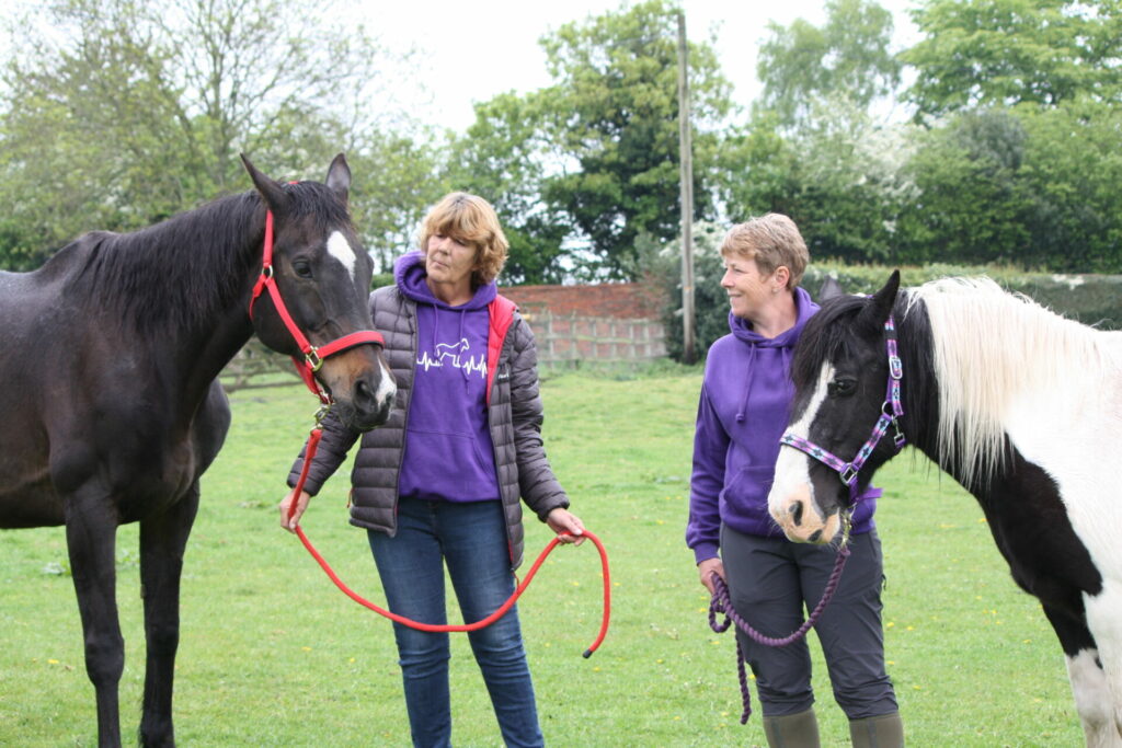 The Listening Herd - equine assisted therapy for children and adults