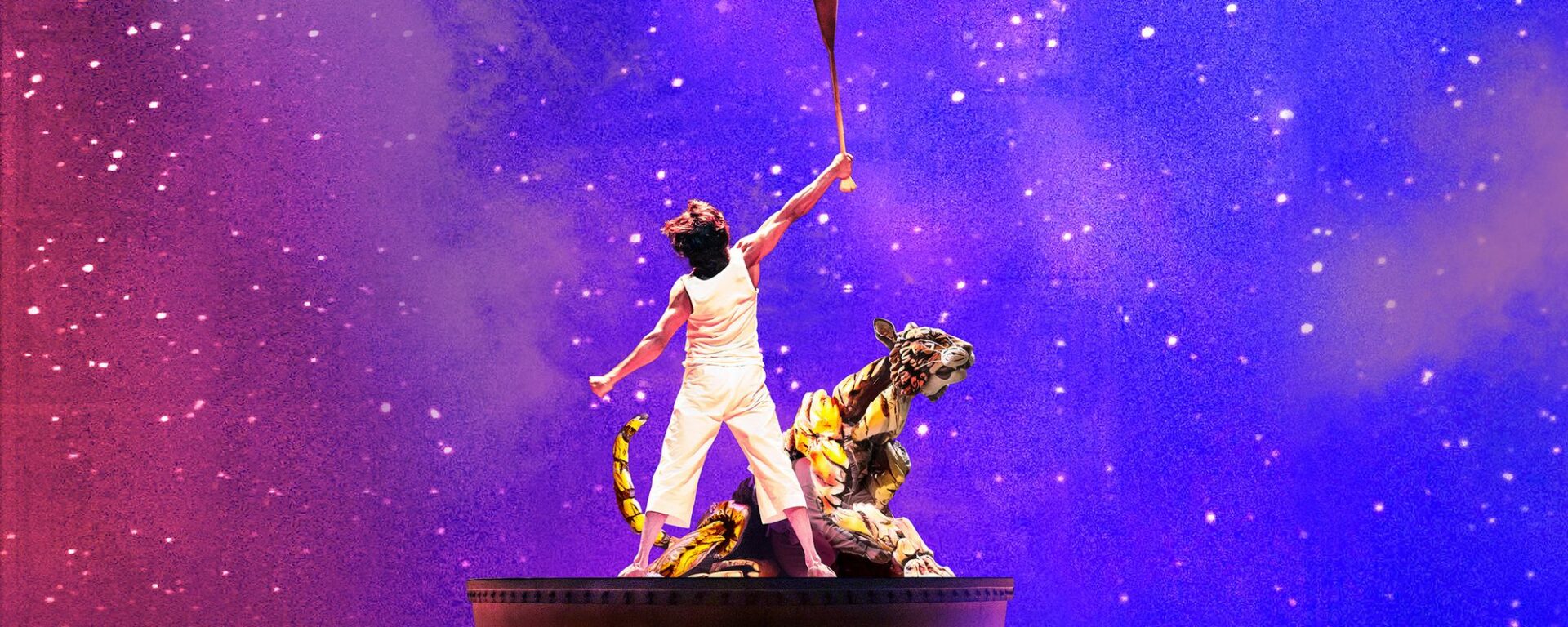 Life of Pi coming to Broadway 