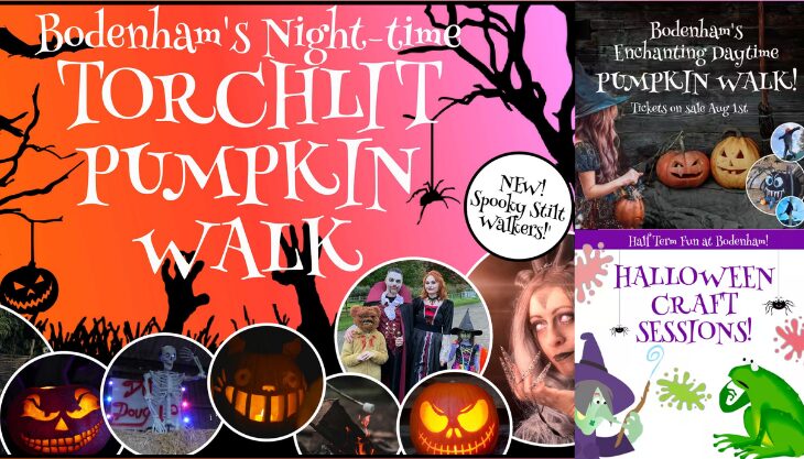 Halloween at Bodenham Arboretum