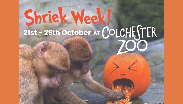 Shriek Week at Colchester Zoo