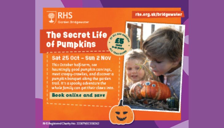October Half Term Fun: The Secret Life of Pumpkins