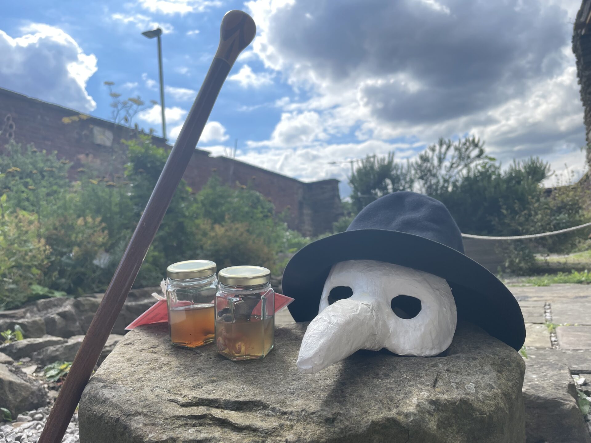 Become a Tudor Doctor Day