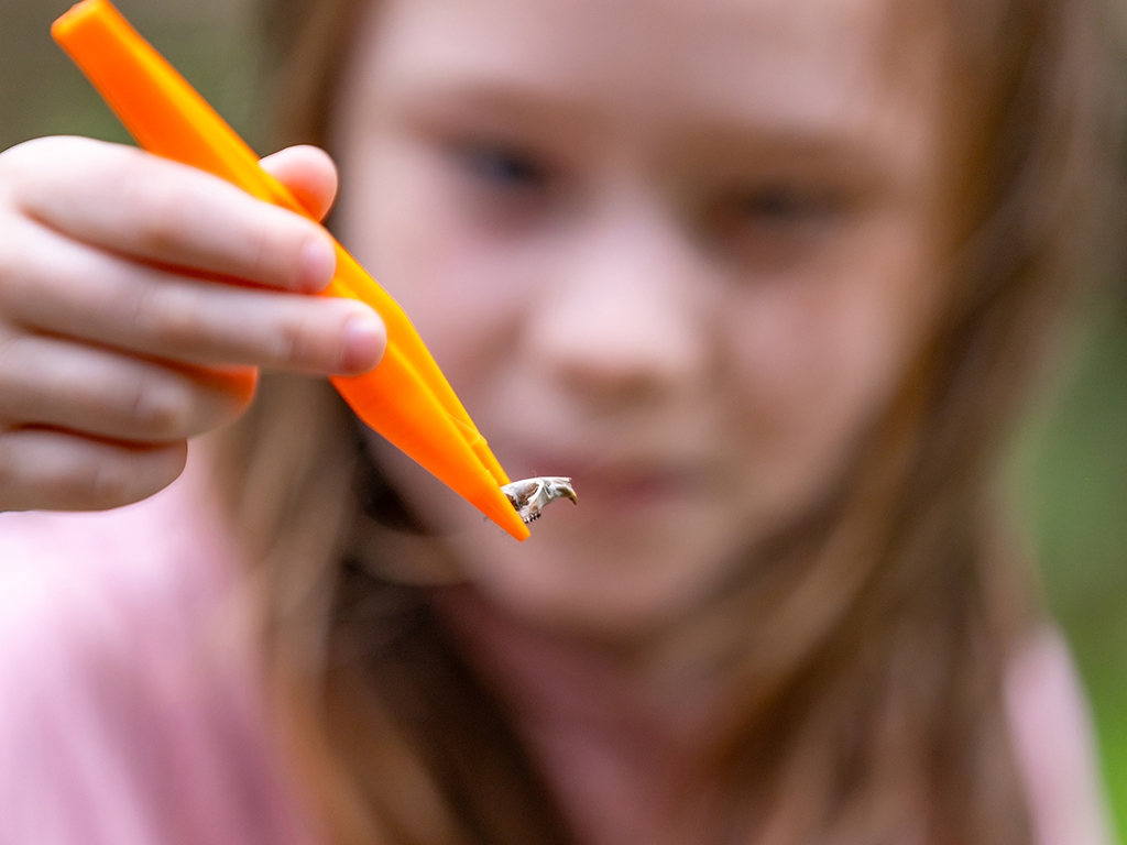 Family Owl Pellet Workshop