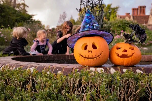 Halloween Trail