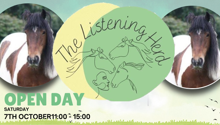 The Listening Herd OPEN DAY