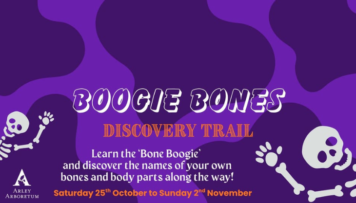 Half-term Trail at Arley Arboretum