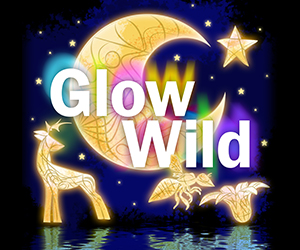 Glow Wild 2023