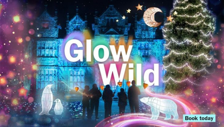 Glow Wild