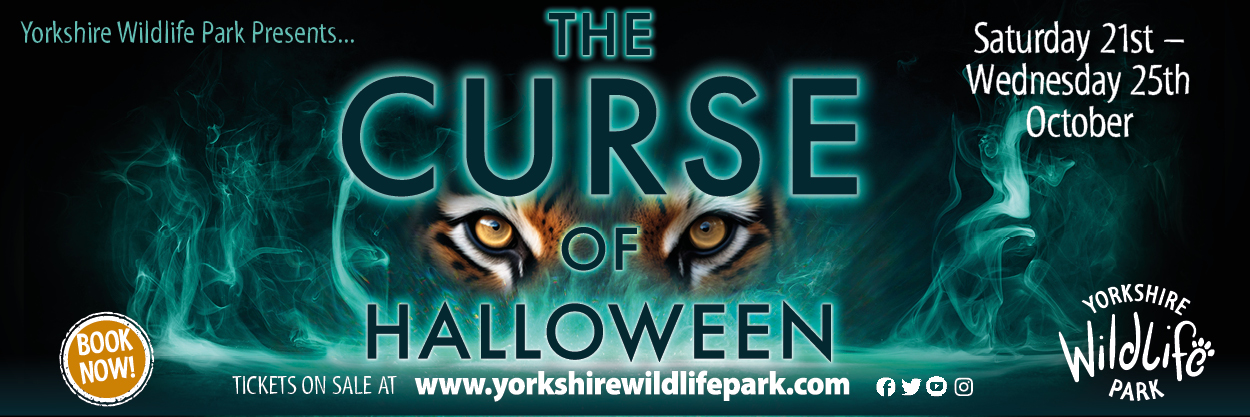 Yorkshire Wildlife Park Presents: The Curse of Halloween