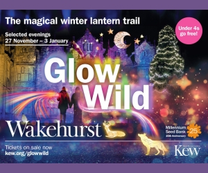 Glow Wild 2025