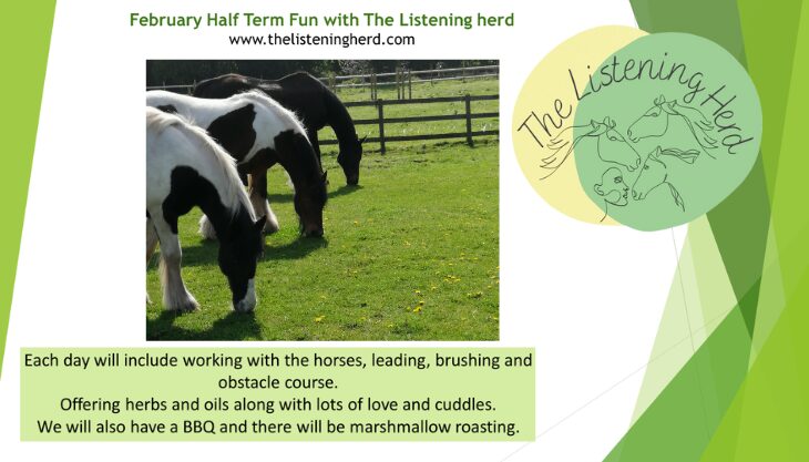 Half-Term Activity Sessions with The Listening Herd