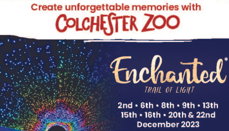 Colchester Zoo – Enchanted Trail Of Light