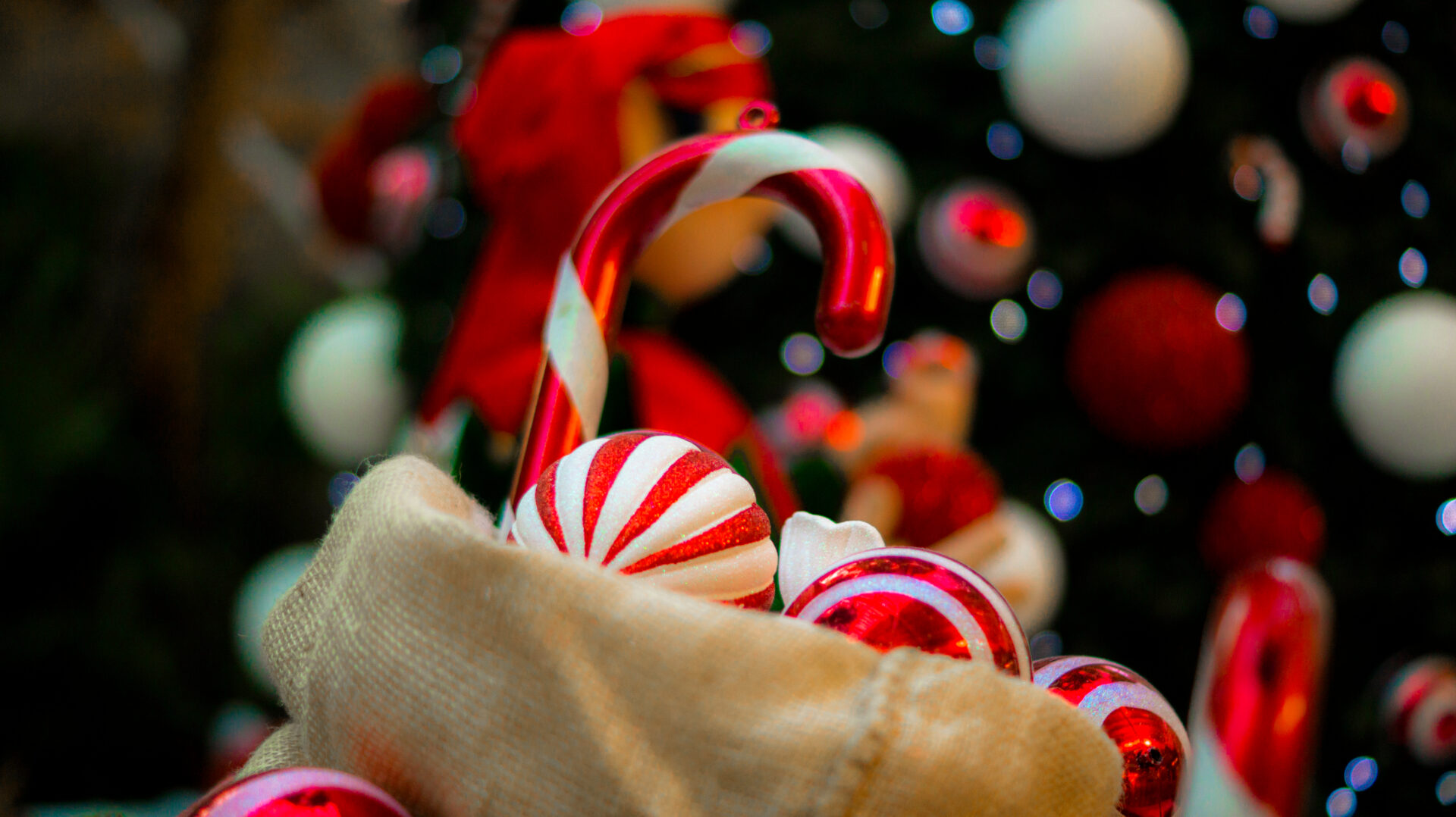 Christmas At The Baytree Shopping Centre