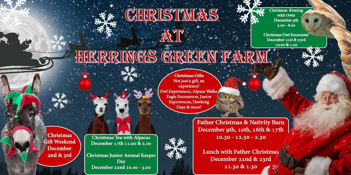 Father Christmas & Nativity Barn @ Herrings Green Farm