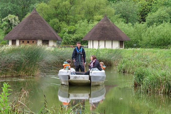 World Wetland Day Activities