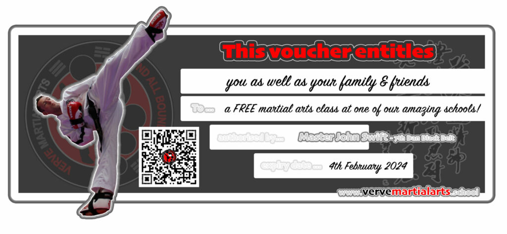 Verve Martial Arts voucher FREE class